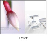 Leser